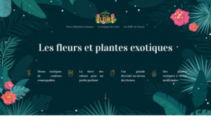 https://www.exofleurs.fr